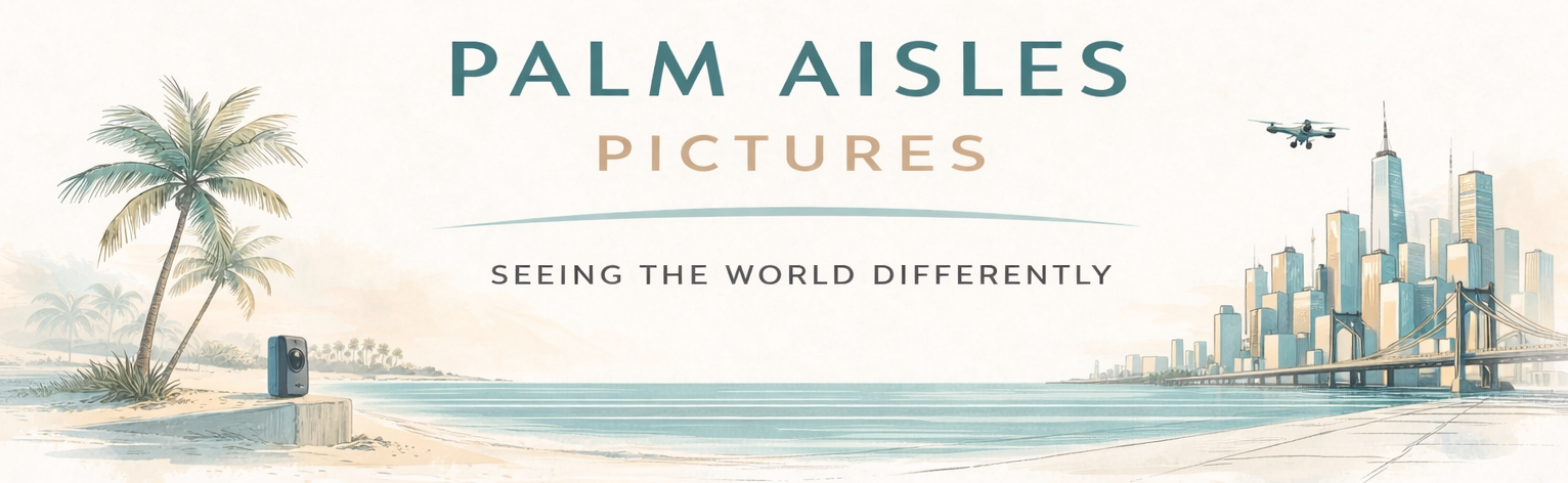Palm Aisles Pictures Video Production VR360 Ai SEO Marketing Content Social Original Film & TV